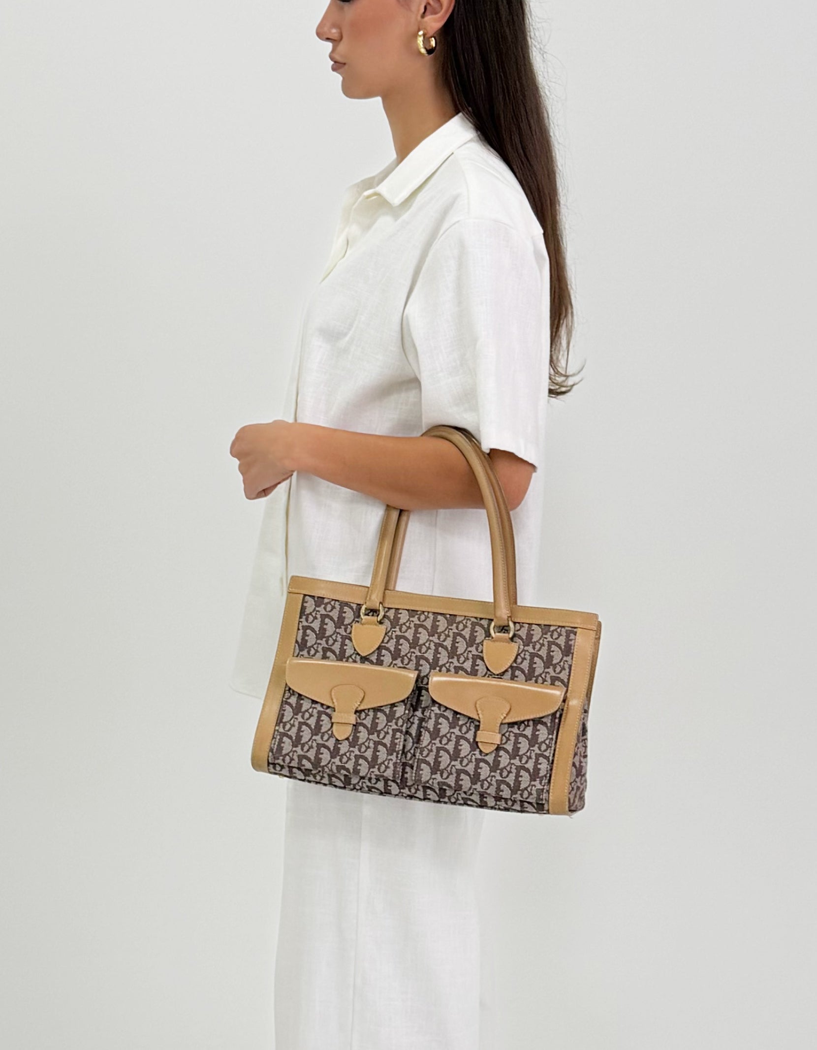 Dior Trotter Canvas Beige Brown