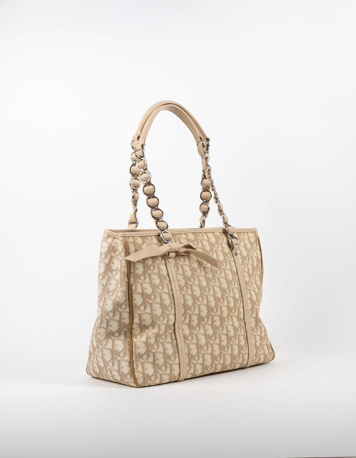 Dior Trotter Canvas Romantic Chain