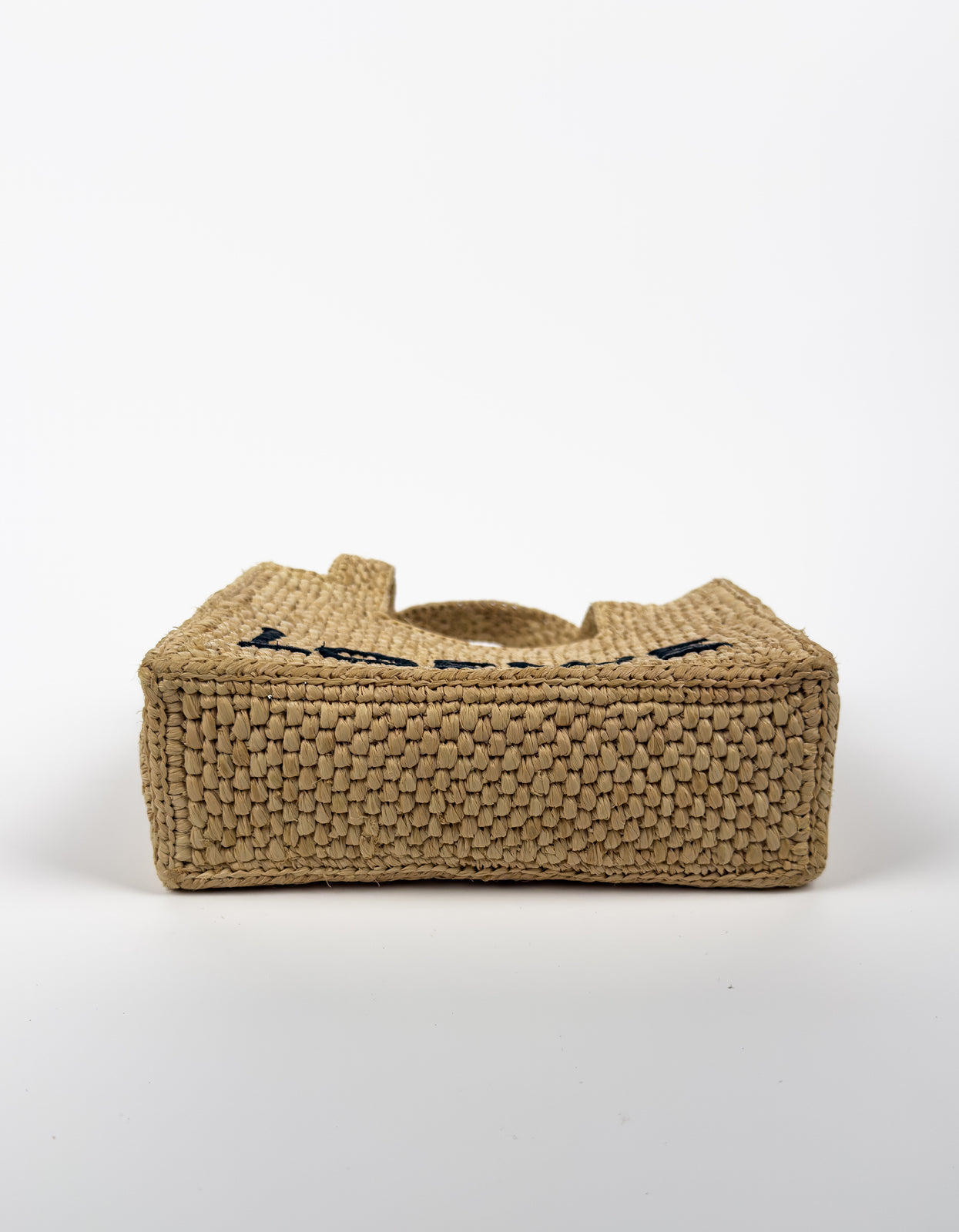Mini Loewe Raffia Tote