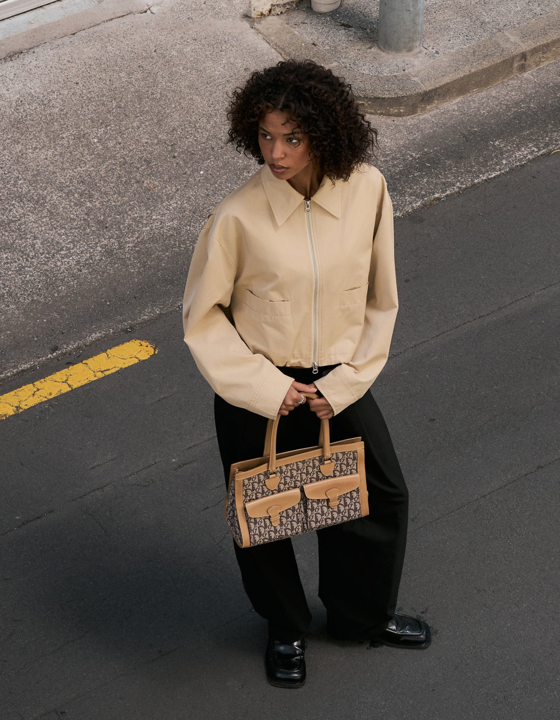 Dior Trotter Canvas Beige Brown