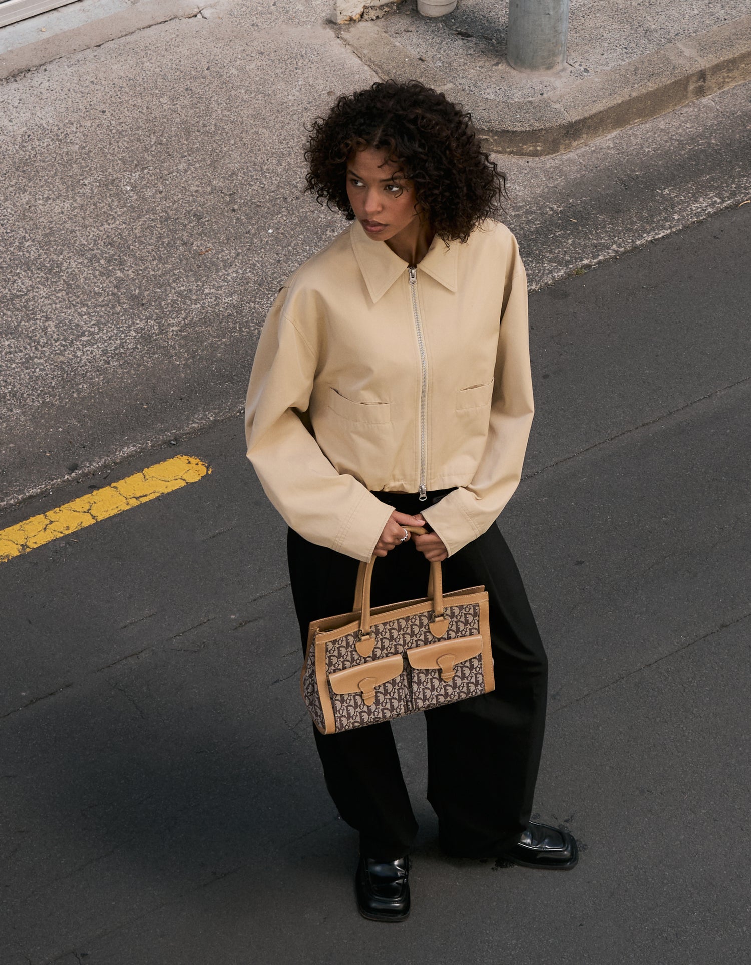 Dior Trotter Canvas Beige Brown